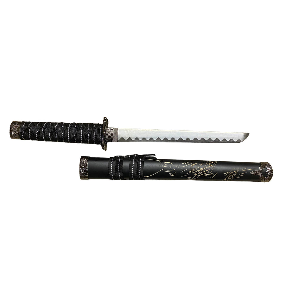 Sword with black sheath on a white background