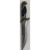 Holding The Eagle Dagger