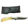 Classic ZWH Lock Knife & Case