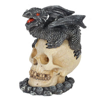 Black Dragon Skull Incense Cone Burner - Anne Stokes (AW705)