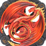 Beltane Dragon Wall Plaque  Anne Stokes (AW838)