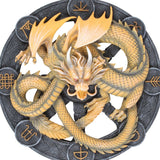 Imbolic Dragon Wall Plaque Anne Stokes (AW839)