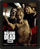 The Walking Dead "Walkers" 3D Framed Picture (AW1081)