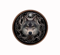 Night Forest 3D Coin Purse - Anne Stokes (AW835)