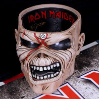 Iron Maiden The Trooper Box (AW273)