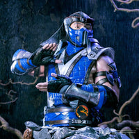 Mortal Kombat Sub Zero Bust (AW650)