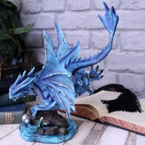 Adult Water Dragon Anne Stokes (AW857)